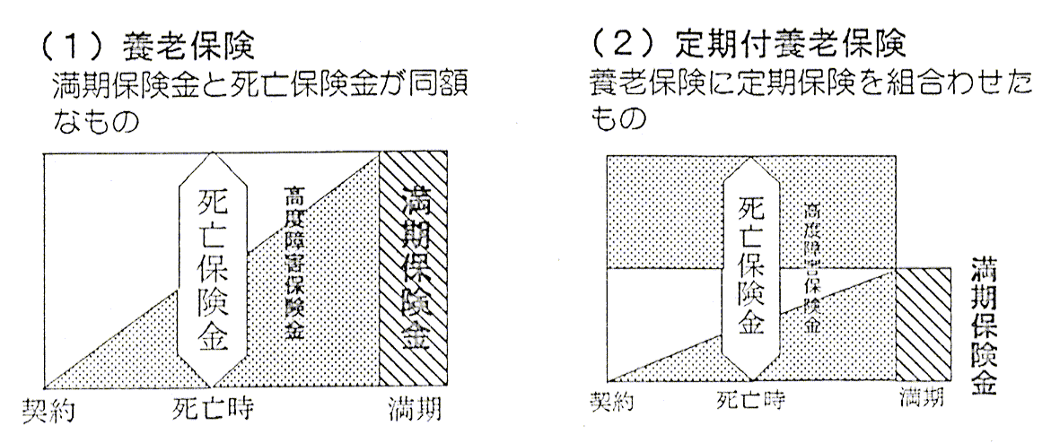 生死混合保険のイメージ